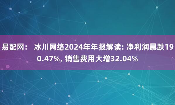 易配网： 冰川网络2024年年报解读: 净利润暴跌190.47%, 销售费用大增32.04%