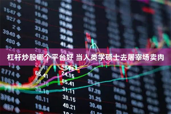 杠杆炒股哪个平台好 当人类学硕士去屠宰场卖肉