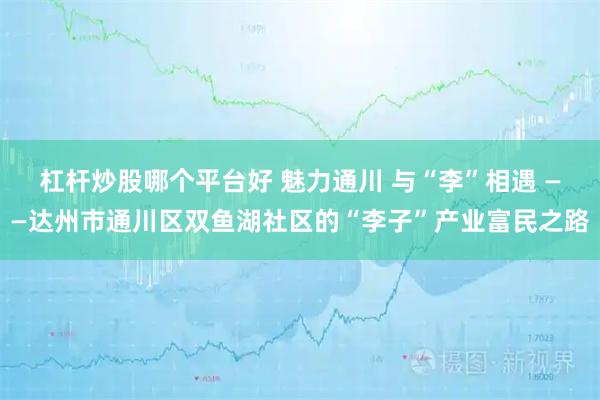 杠杆炒股哪个平台好 魅力通川 与“李”相遇 ——达州市通川区双鱼湖社区的“李子”产业富民之路