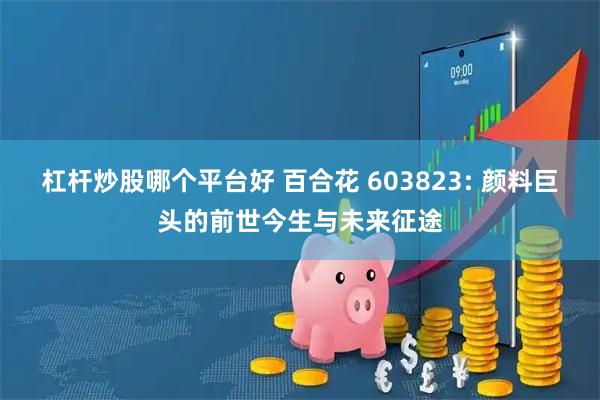 杠杆炒股哪个平台好 百合花 603823: 颜料巨头的前世今生与未来征途