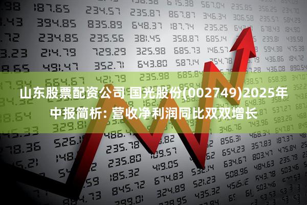 山东股票配资公司 国光股份(002749)2025年中报简析: 营收净利润同比双双增长