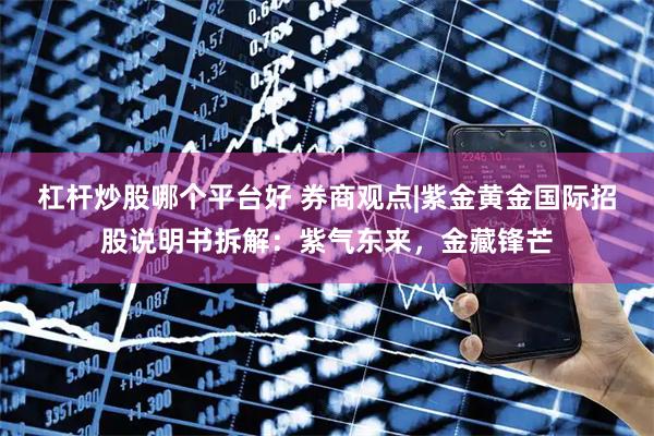 杠杆炒股哪个平台好 券商观点|紫金黄金国际招股说明书拆解：紫气东来，金藏锋芒